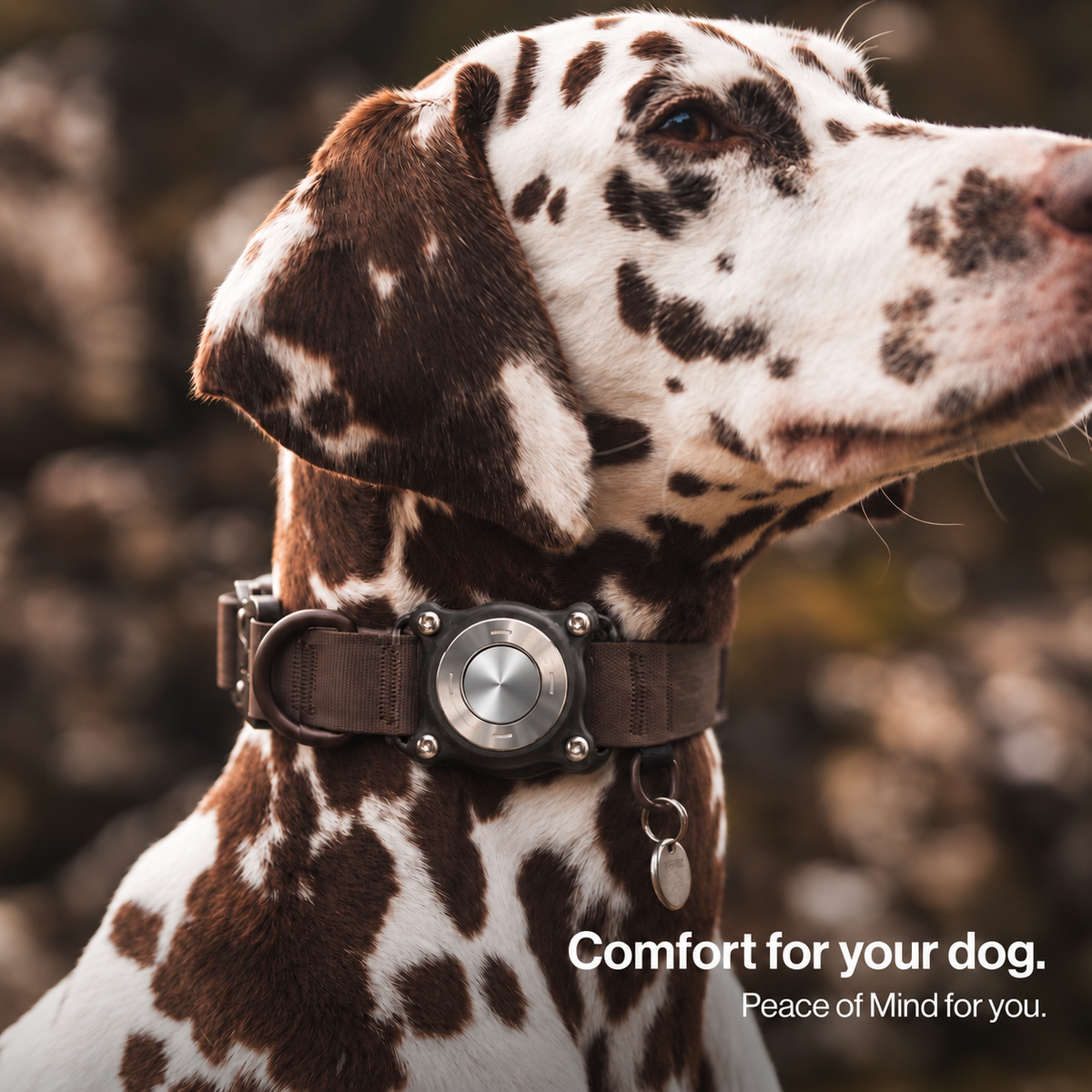 TrailTag™ Dog Tracking Kit