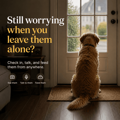 Stay Close to Your Dog, Even When You’re Away