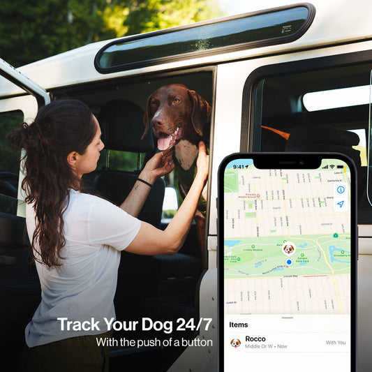 TrailTag™ Dog Tracking Kit