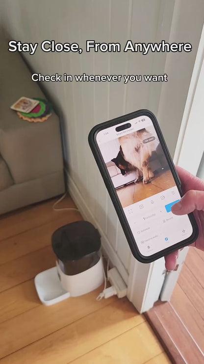 Stay Close to Your Dog, Even When You’re Away