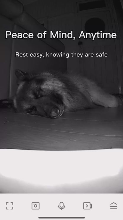 Stay Close to Your Dog, Even When You’re Away